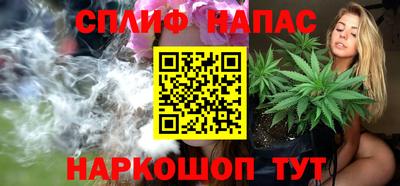 трава Партизанск